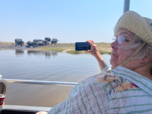 Chobe River - Zimbabwe