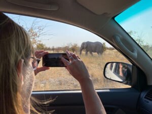 Etosha National Park - Namibia