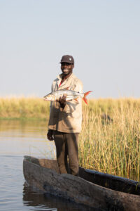 Chobe River - Zimbabwe