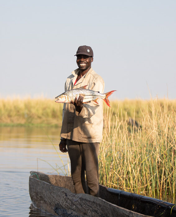 Chobe River - Zimbabwe