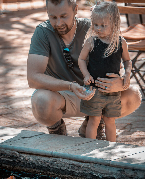 Crocodile Farm - Namibia