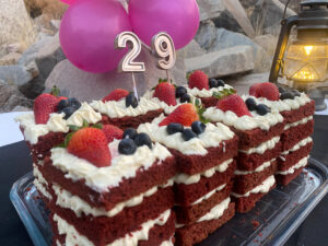 Safari Birthday - Namibia