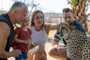 Cheetah Farm - Namibia
