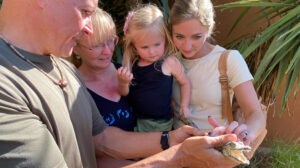 Crocodile Farm - Namibia
